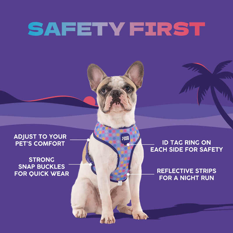 Dash Dog Circle Double Harness - Aqua Blue & Lavender - Heads Up For Tails