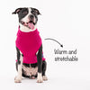 HUFT Argyle Pet Sweater - Pink/Cream - Heads Up For Tails