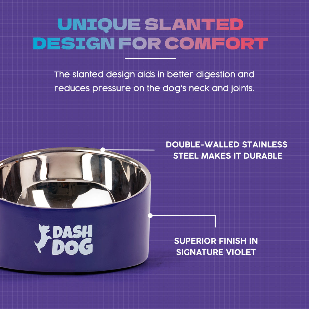 Dash Dog Eclipse Bowl For Pets - Heads Up For Tails