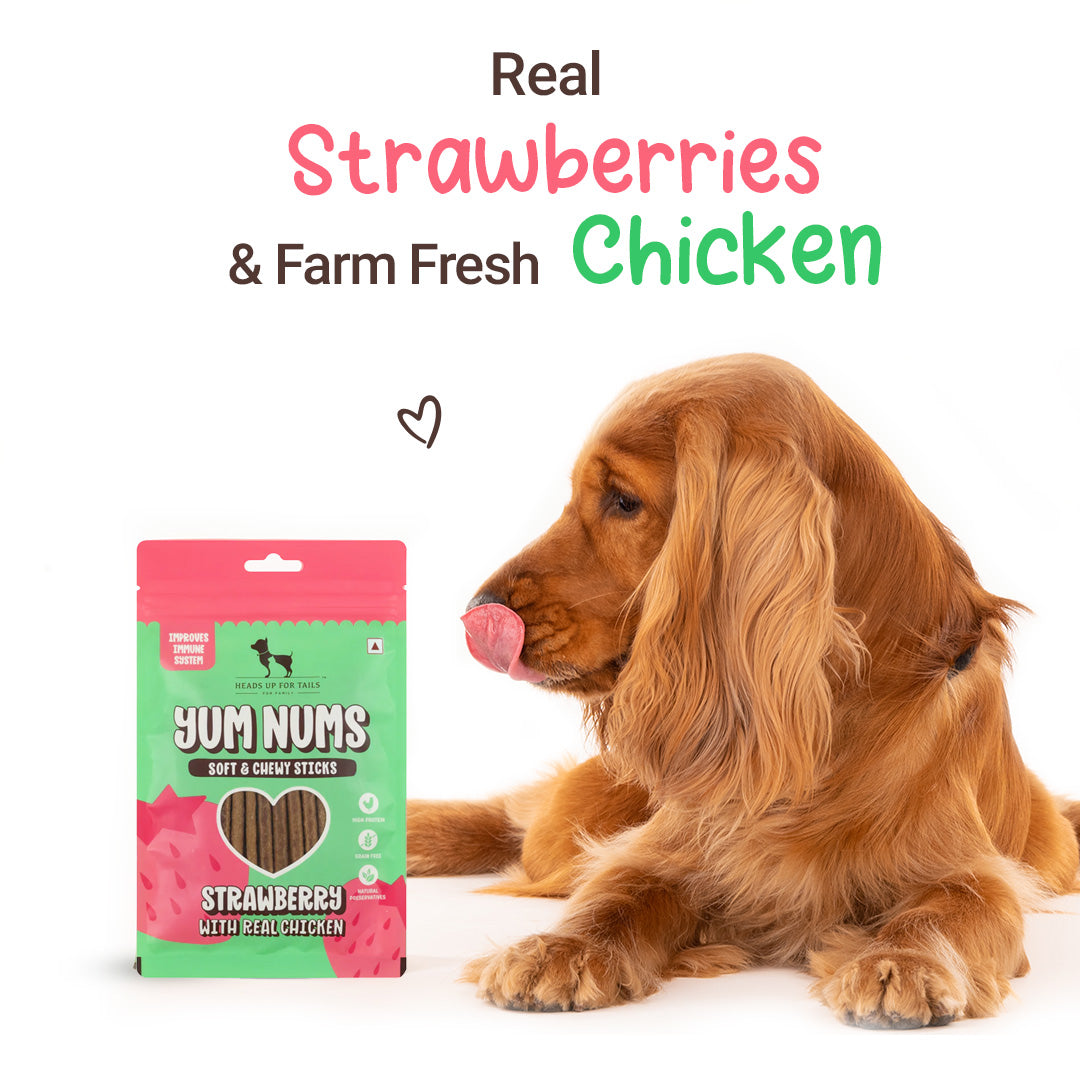 HUFT Yum Nums Soft Chewy Sticks Strawberry with Real Chicken