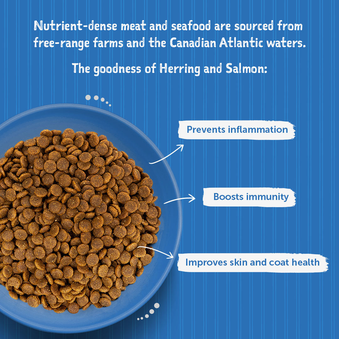 Loveabowl Grain Free Herring & Salmon Dog Dry Food - Heads Up For Tails