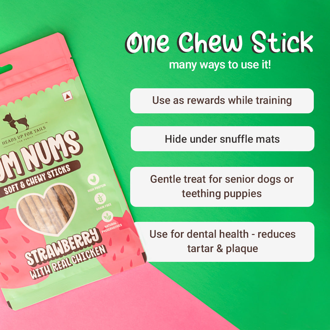 HUFT Yum Nums Soft Chewy Sticks Strawberry with Real Chicken