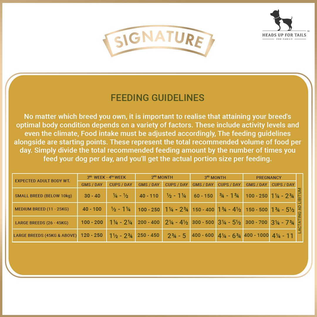 Signature Grain Zero Adult Dry Dog Food - Heads Up For Tails