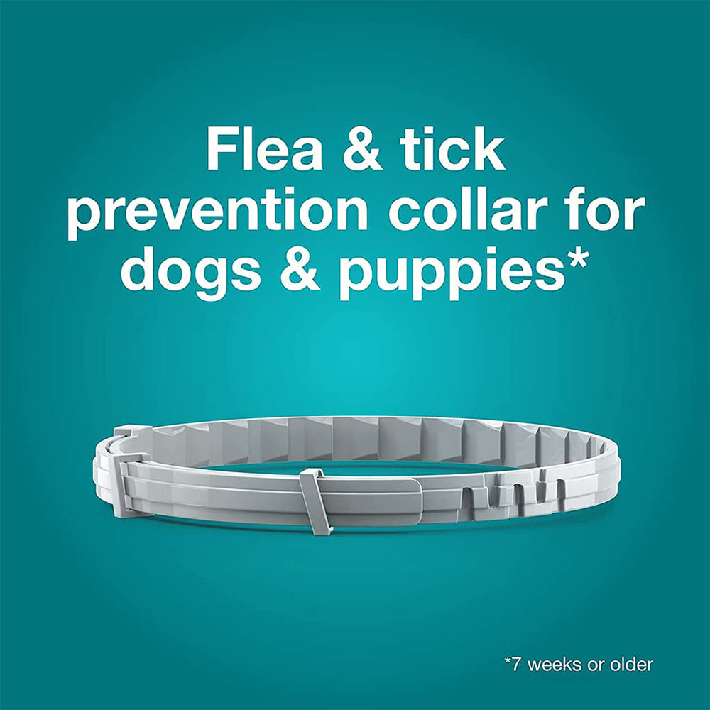 Bayer Seresto Tick Flea Collar For Small Breed Dogs upto 8 kg - Heads Up For Tails