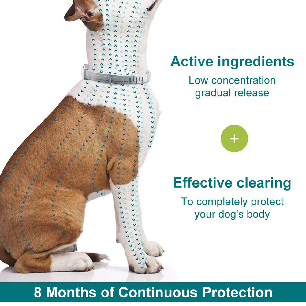 Bayer Seresto Tick Flea Collar For Small Breed Dogs upto 8 kg - Heads Up For Tails