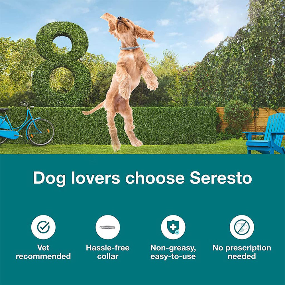 Bayer Seresto Tick Flea Collar For Small Breed Dogs upto 8 kg - Heads Up For Tails