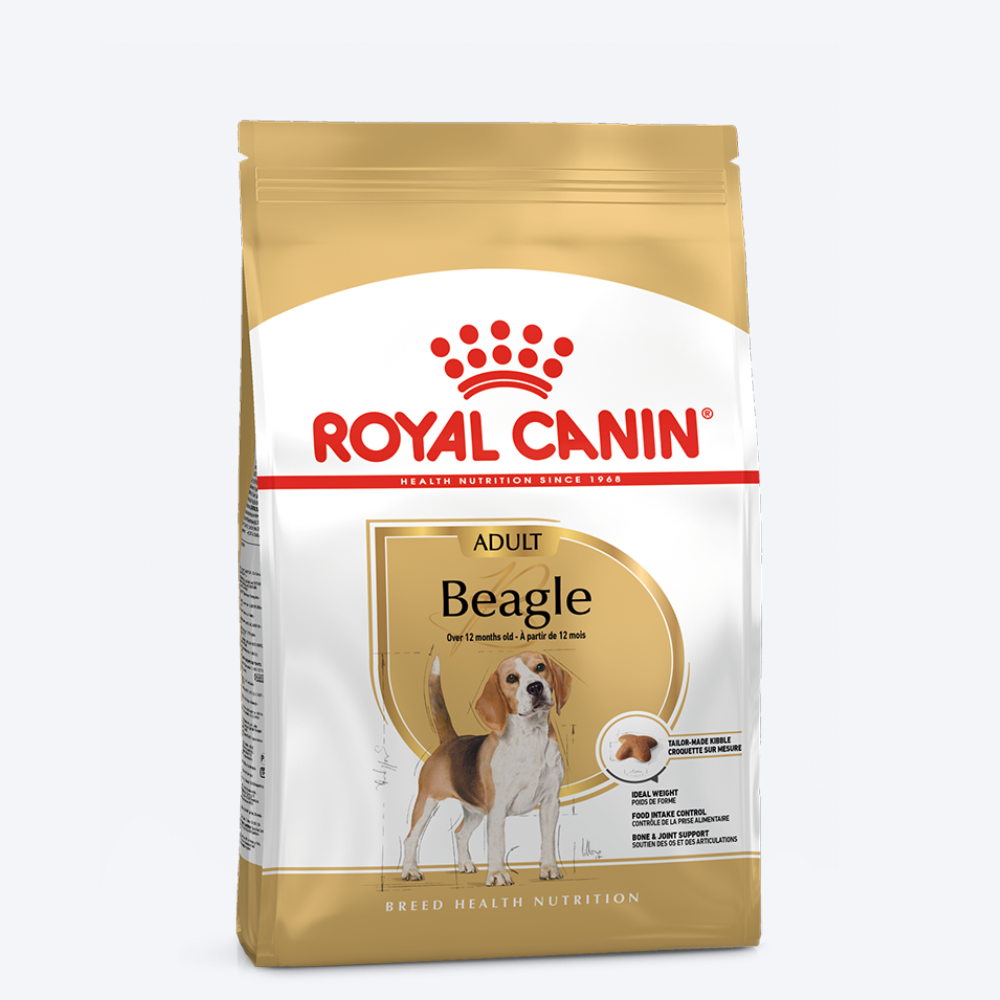 Royal Canin Beagle Adult Dry Dog Food - Heads Up For Tails