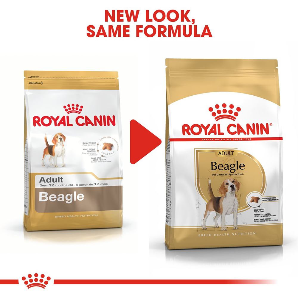 Royal Canin Beagle Adult Dry Dog Food - Heads Up For Tails