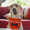 HUFT Bed Hog Dog Bandana - Heads Up For Tails