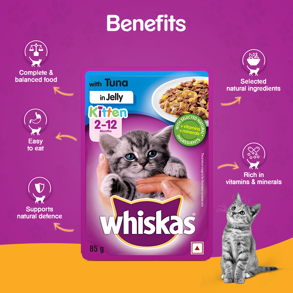 Whiskas Cat Wet Food Tuna in Jelly for Kittens 85 gms Online