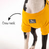 HUFT Best Dog Ever Pet Sweatshirt - Yellow - Heads Up For Tails