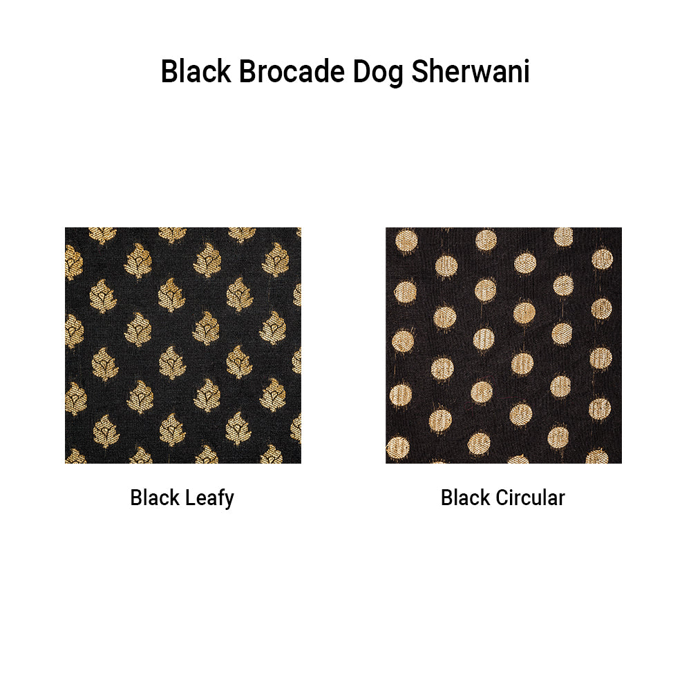 HUFT Personalised Black Brocade Dog Sherwani_05