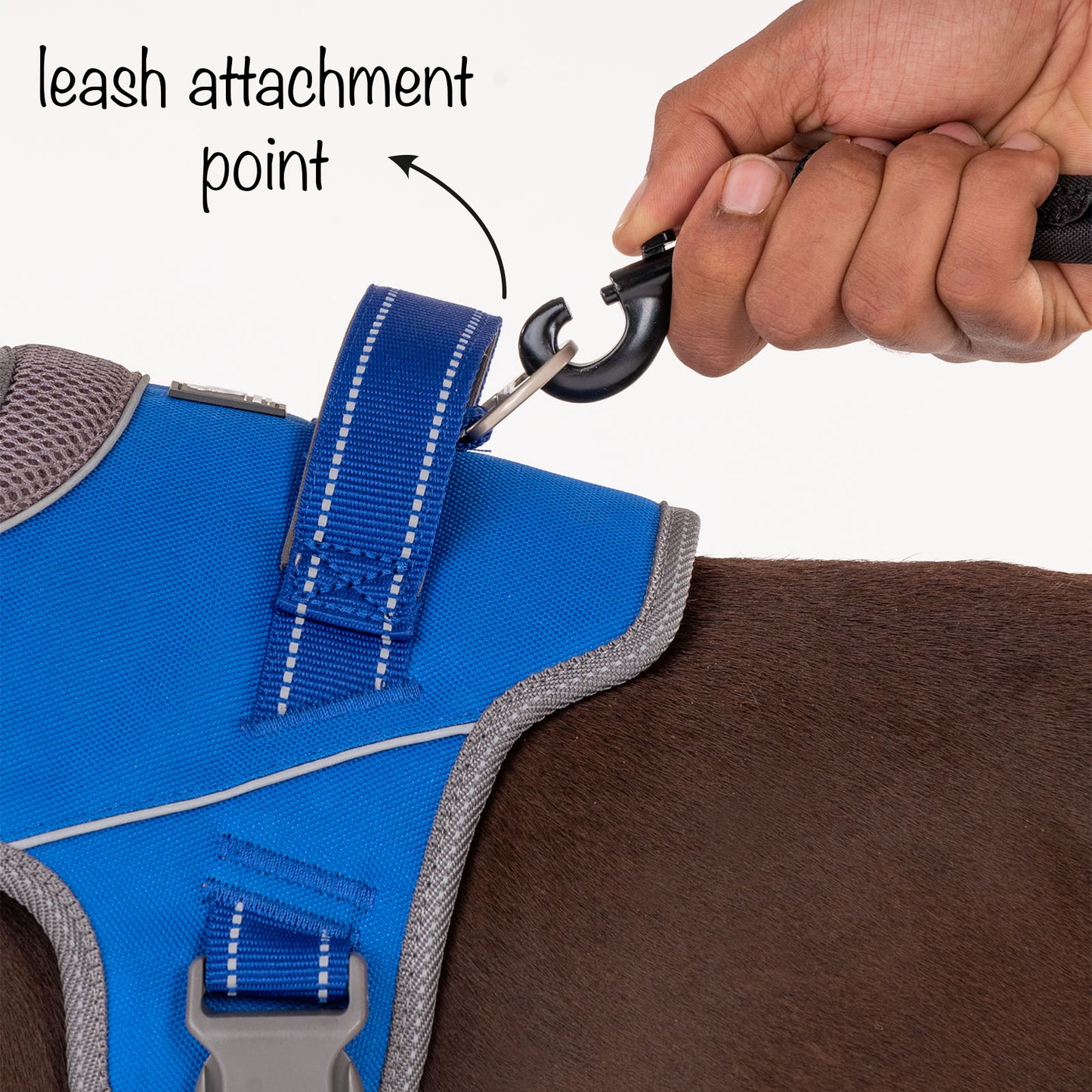 HUFT Easy On Dog Harness - Blue - Heads Up For Tails