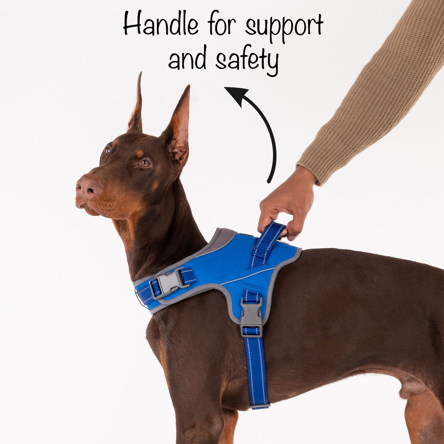 HUFT Easy On Dog Harness - Blue - Heads Up For Tails