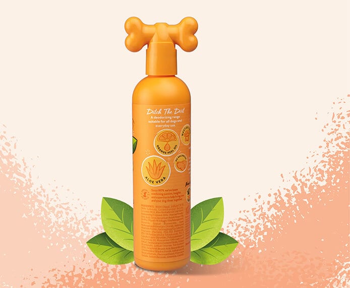 Pet Head Ditch The Dirt Orange Shampoo For Dog - 300 ml - Heads Up For Tails