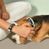 IndieGood Matching Corduroy Dog Collar & Bracelet Set For Humans - Blue - Heads Up For Tails