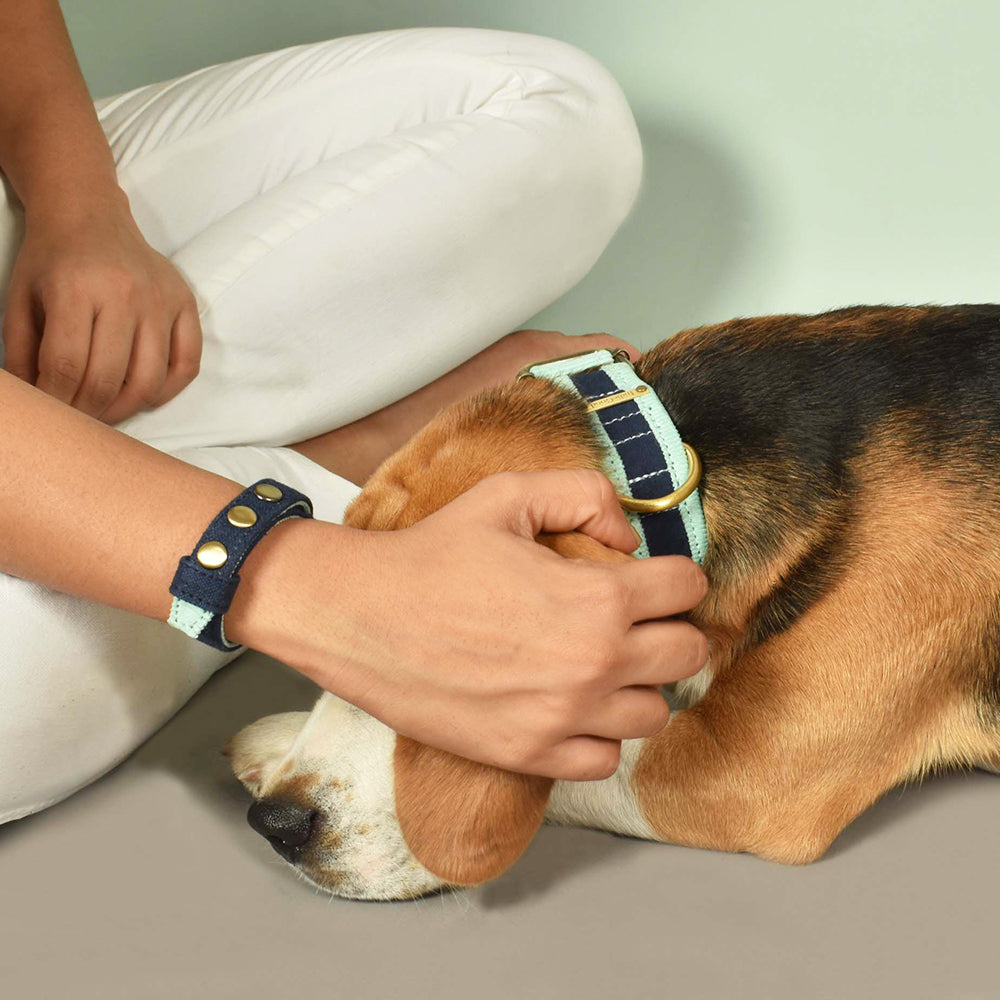IndieGood Matching Corduroy Dog Collar & Bracelet Set For Humans - Blue - Heads Up For Tails