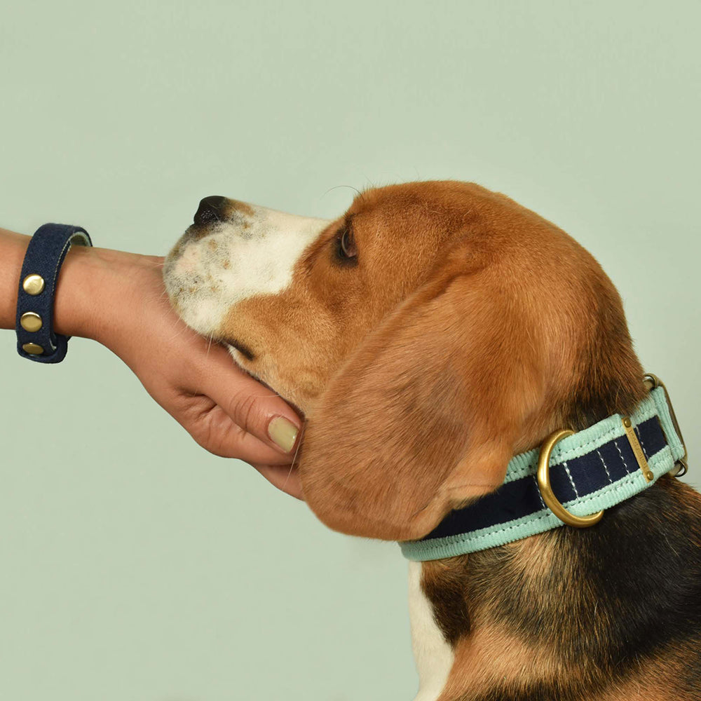 IndieGood Matching Corduroy Dog Collar & Bracelet Set For Humans - Blue - Heads Up For Tails