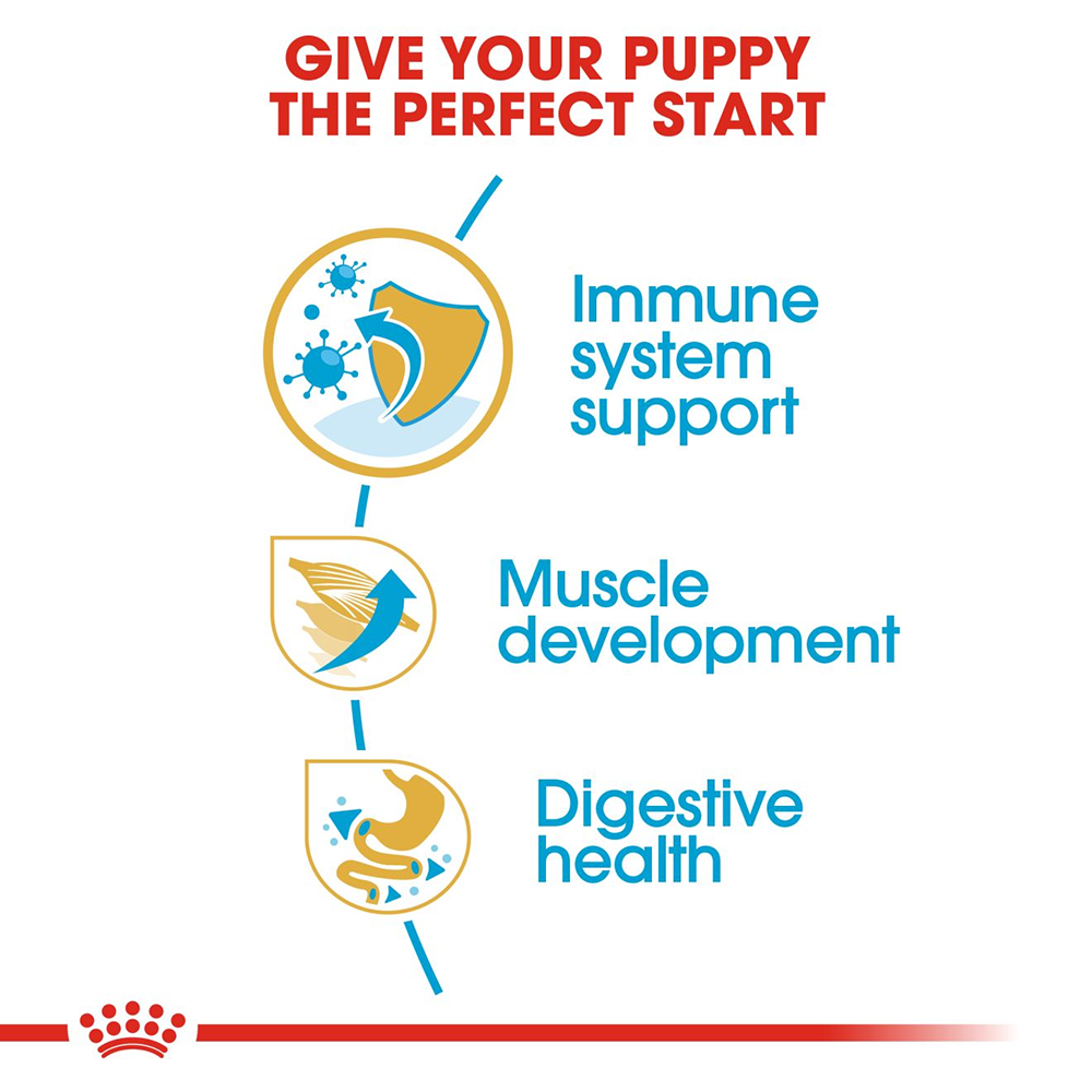 Royal Canin Boxer Junior Dry Puppy Food - Heads Up For Tails