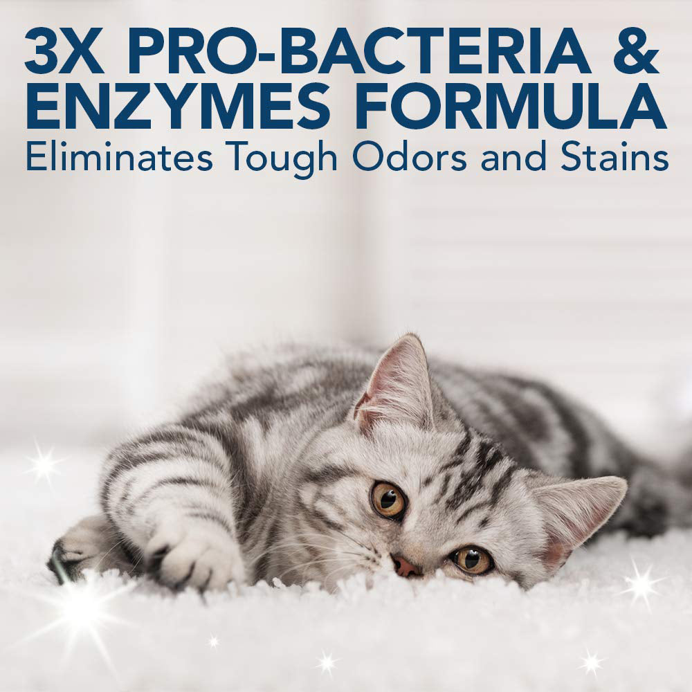 Simple solution extreme stain and odour remover for clearance cats