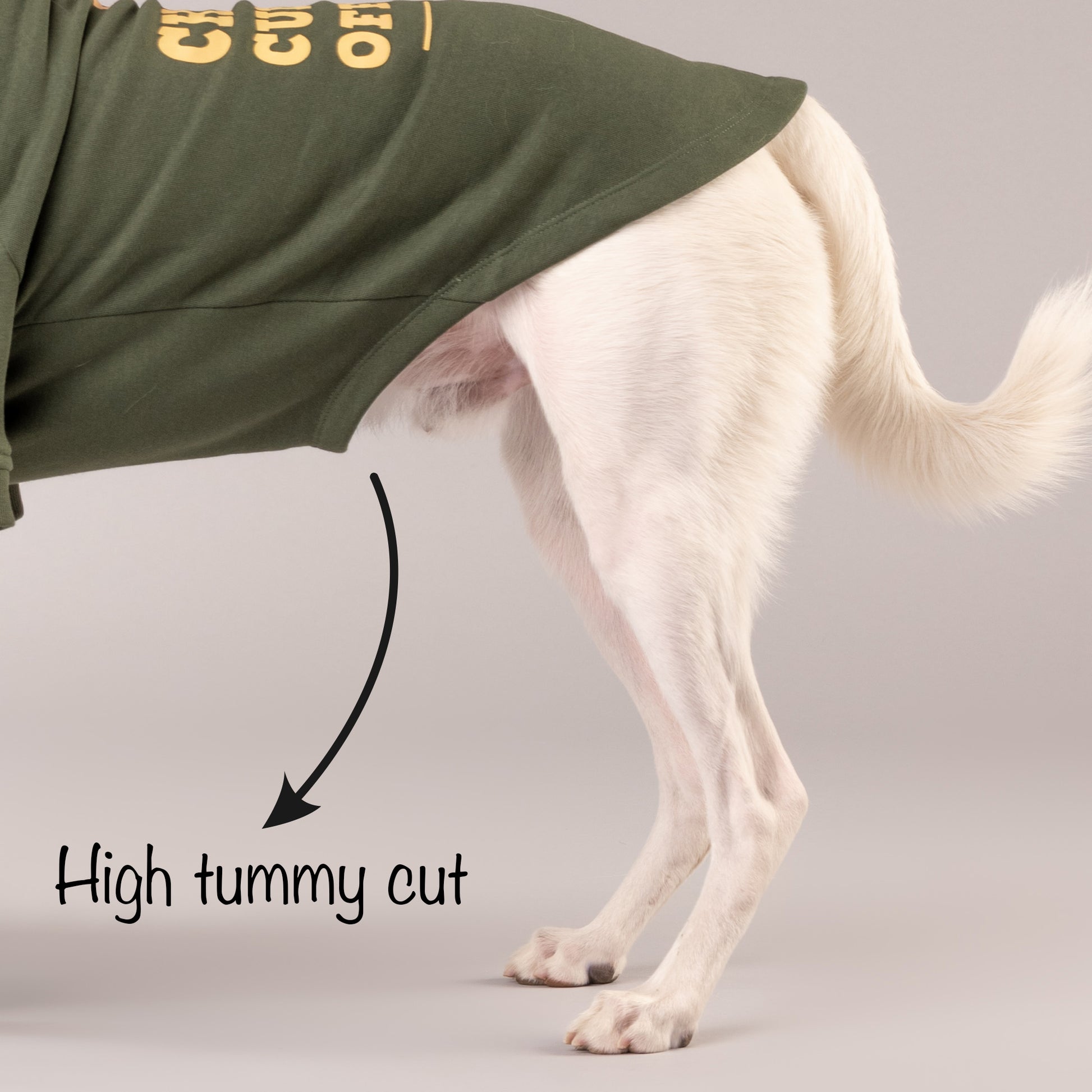 HUFT Chief Cuddle Officer Pet Sweatshirt - Green - Heads Up For Tails