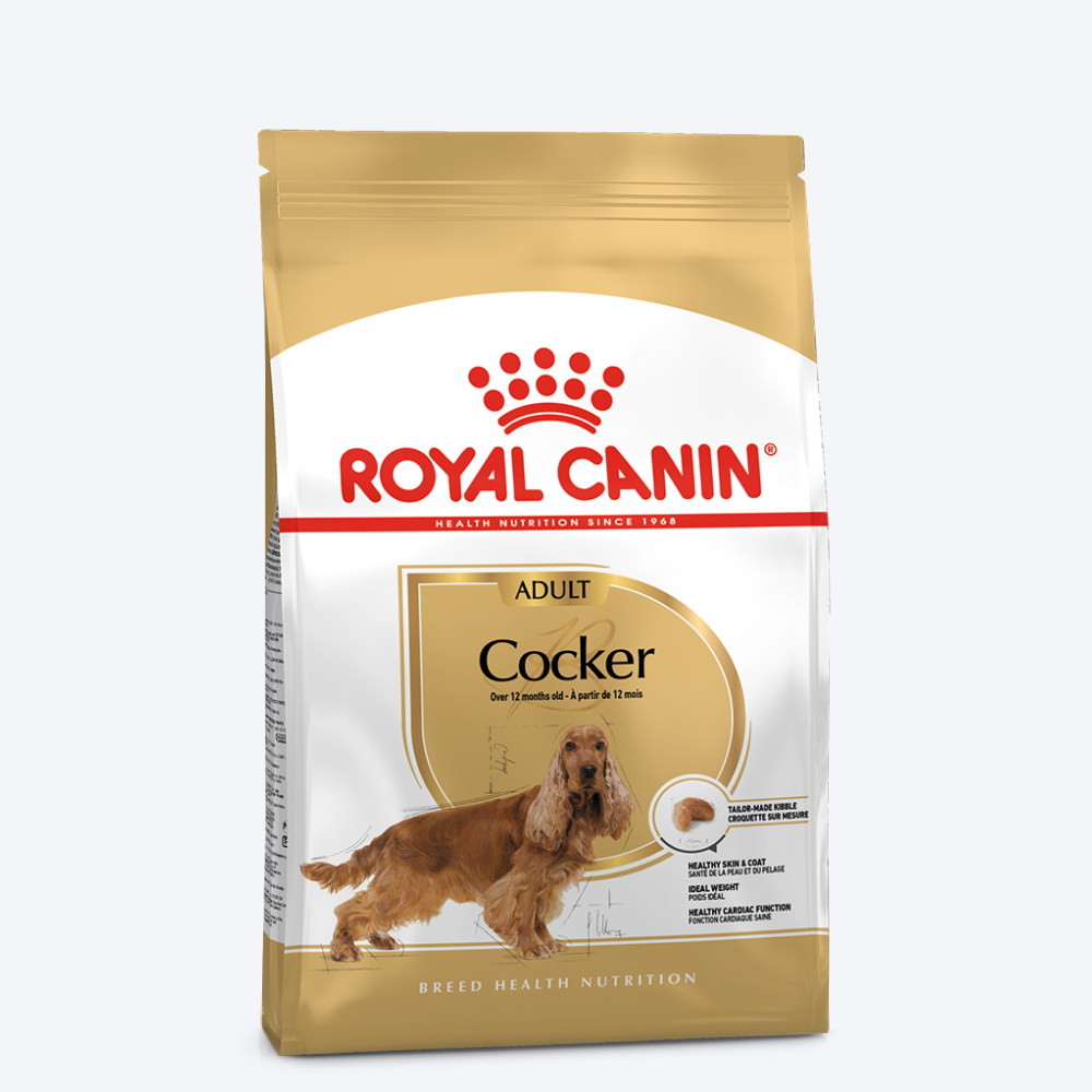 Royal Canin Cocker Adult Dry Dog Food-1