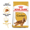 Royal Canin Cocker Spaniel Adult Dry Dog Food - Heads Up For Tails