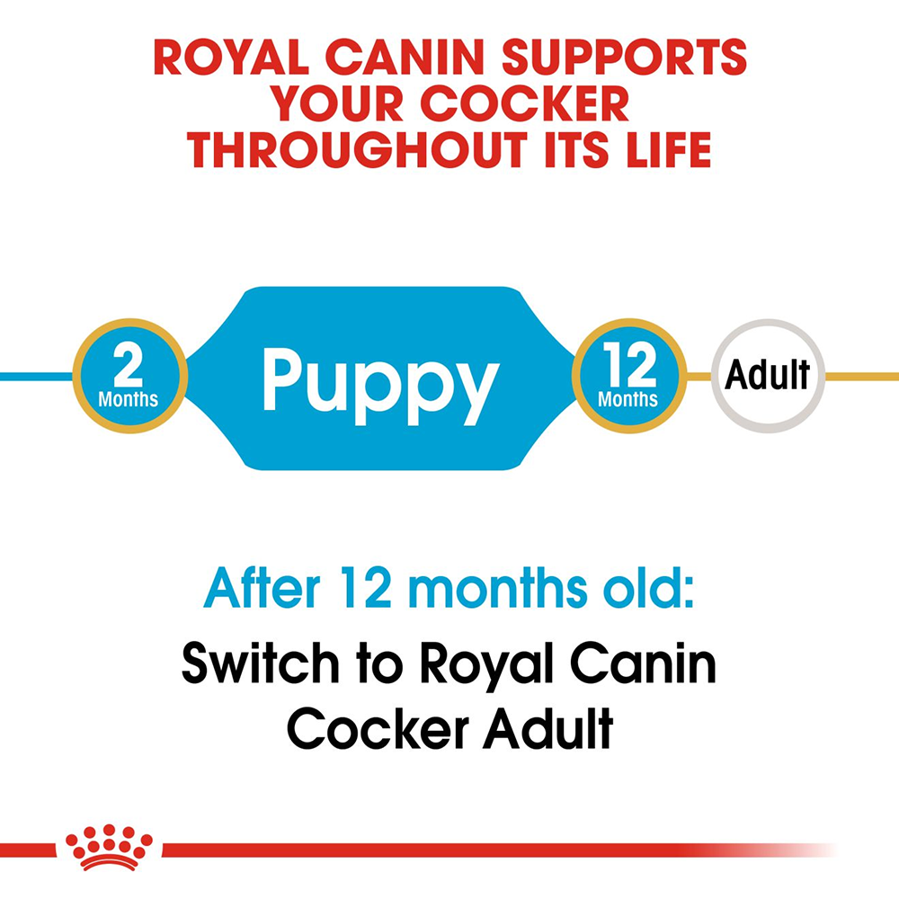 Royal Canin Cocker Junior Food for Puppies - 3 kg - Heads Up For Tails