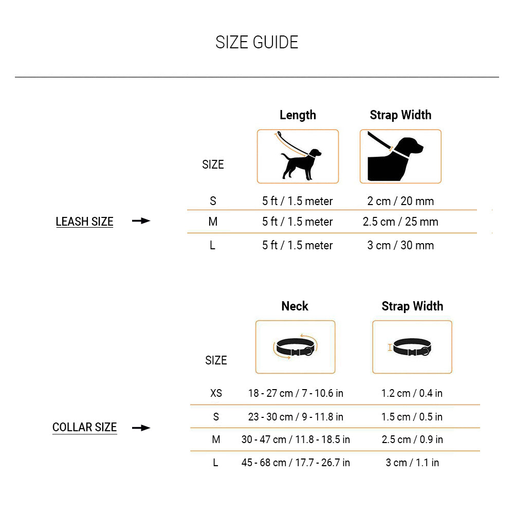 HUFT Summer Rapture Dog Collar and Leash Set - Heads Up For Tails
