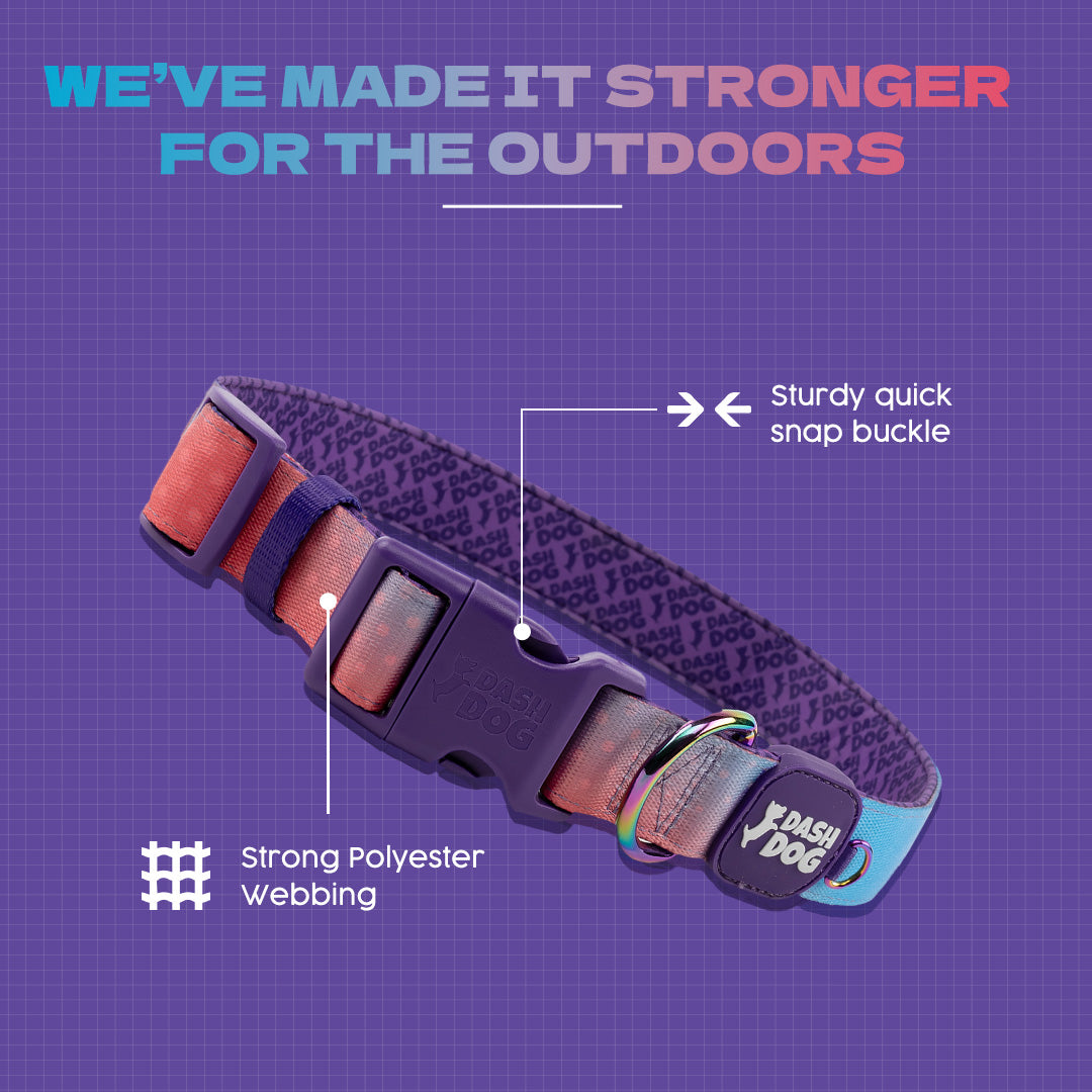 Dash Dog Flow Padded Collar - Violet & Red - Heads Up For Tails