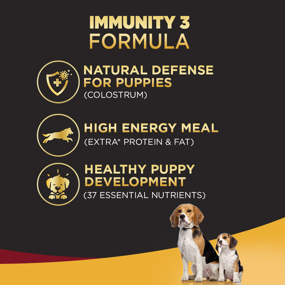 3 week puppy food best sale