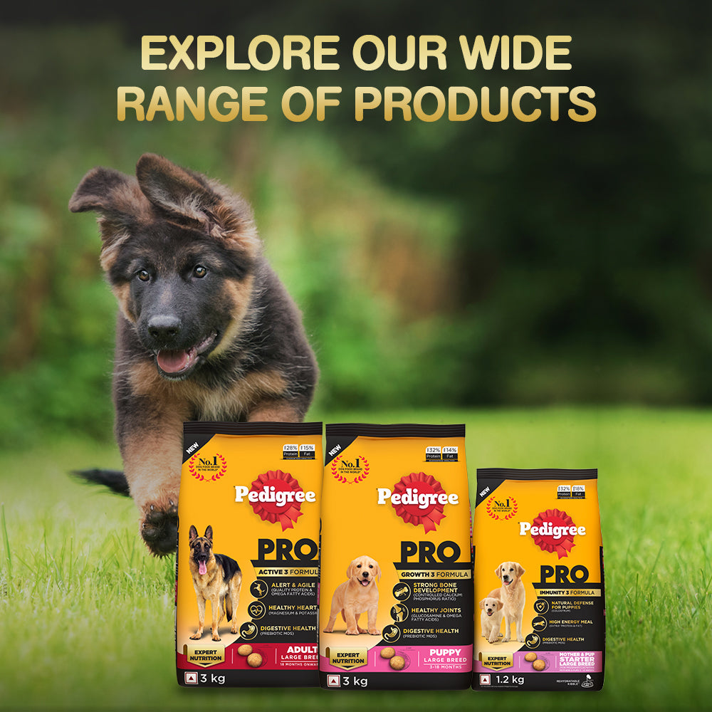 Pedigree best sale pro adult