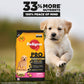 Pedigree PRO Expert Nutrition Dry Dog Food For Large Breed Puppy (3-18 Months)-2