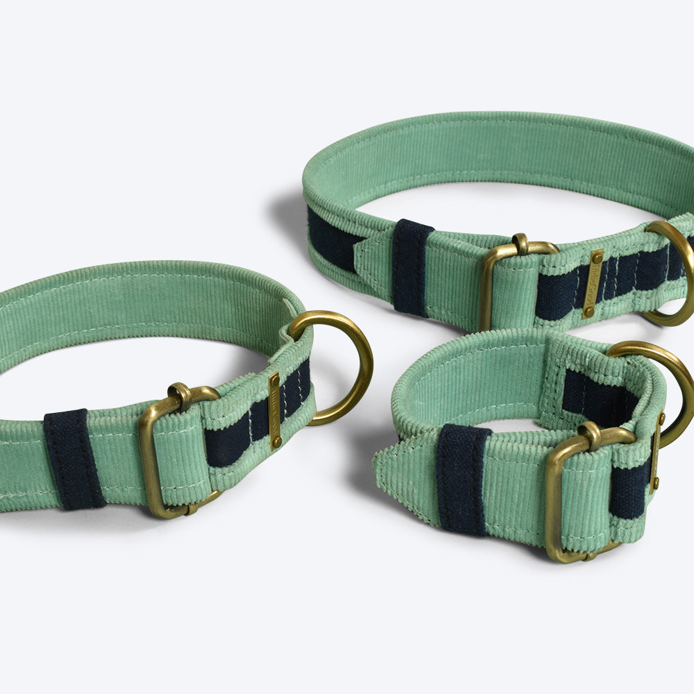 IndieGood Skin-Friendly Corduroy Dog Collar - Blue - Heads Up For Tails