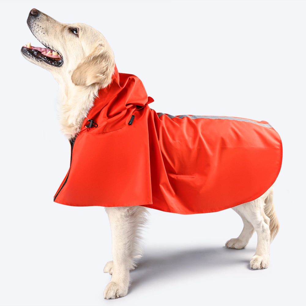 HUFT Raining Champ Dog Raincoat-1