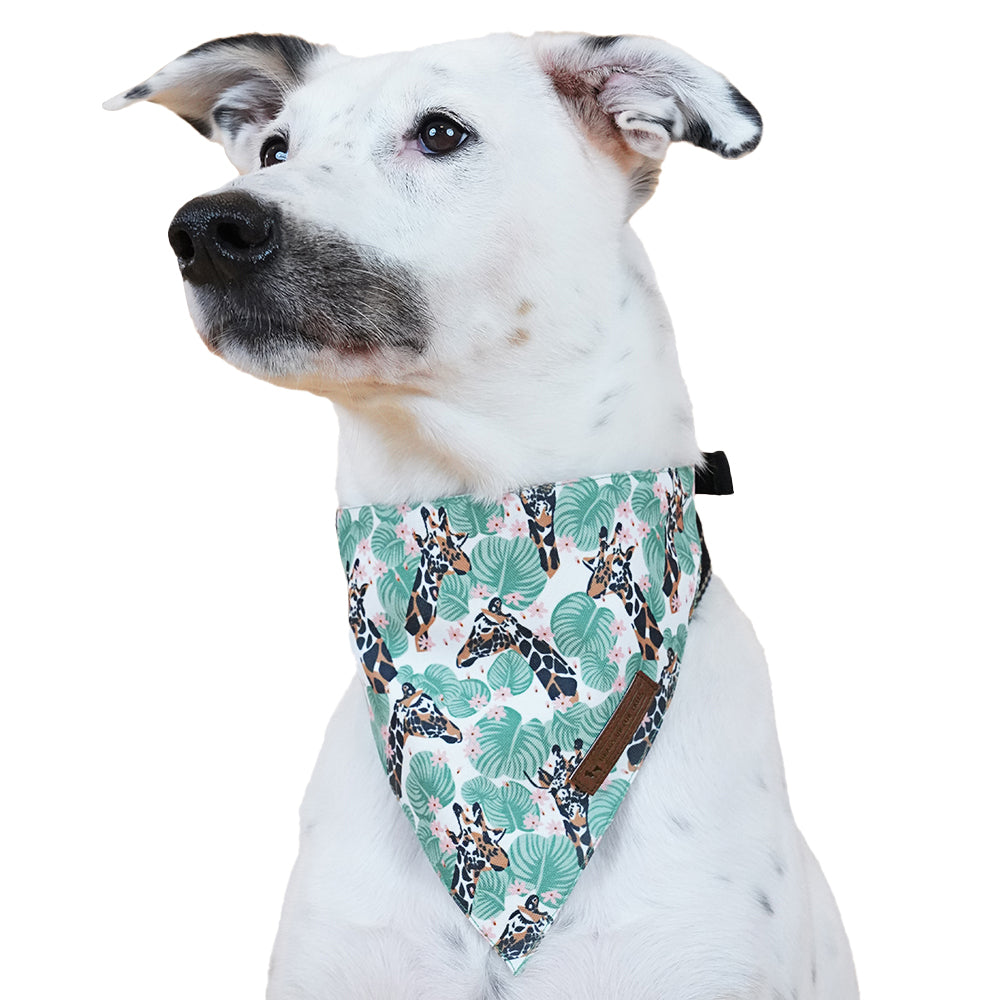 HUFT Jungle Collection Towering Grace Reversible Dog Bandana - Heads Up For Tails