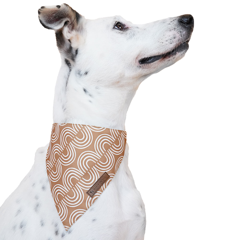 HUFT Jungle Collection Towering Grace Reversible Dog Bandana - Heads Up For Tails