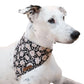 HUFT Jungle Collection Savanna's Dazzle Reversible Dog Bandana - Heads Up For Tails