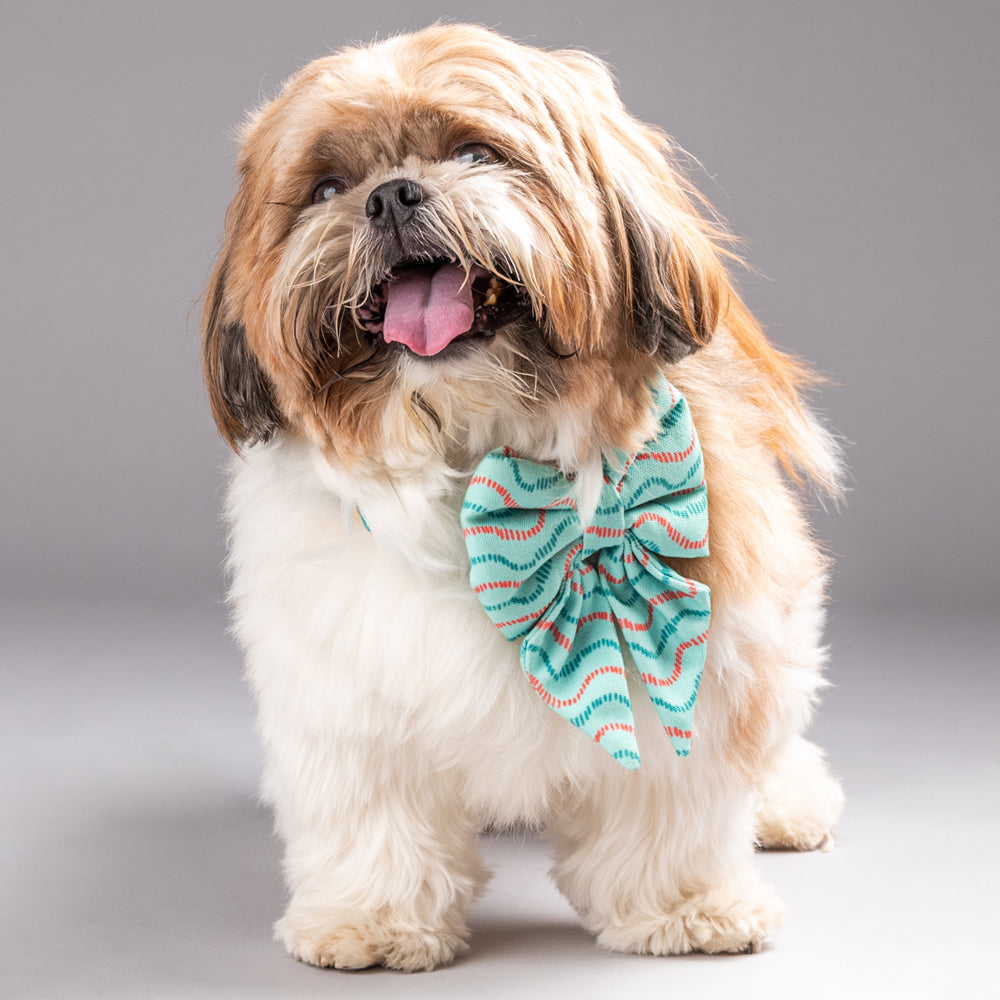 HUFT Green Bay Dog Collar with Free Big Bow Tie - Heads Up For Tails