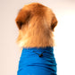 HUFT Been There Chewed That T-Shirt For Dogs - Blue - Heads Up For Tails