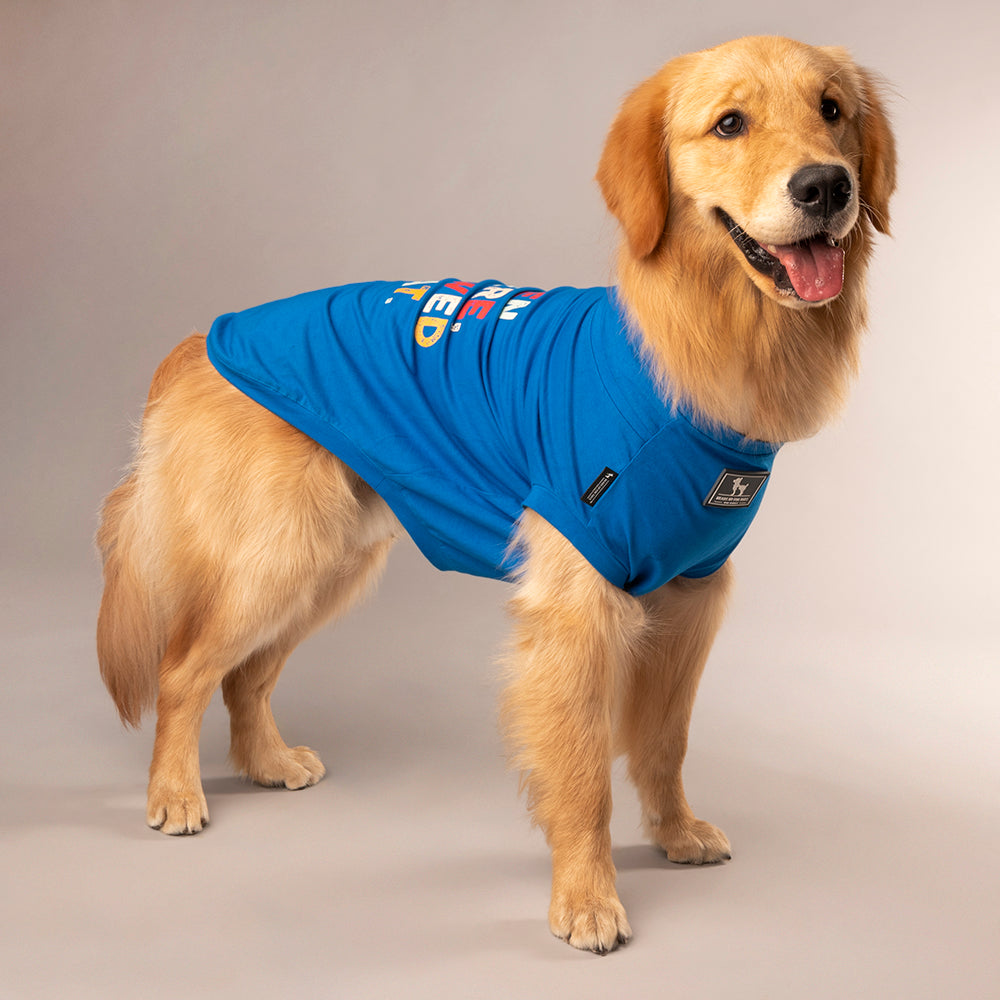 HUFT Been There Chewed That T-Shirt For Dogs - Blue - Heads Up For Tails