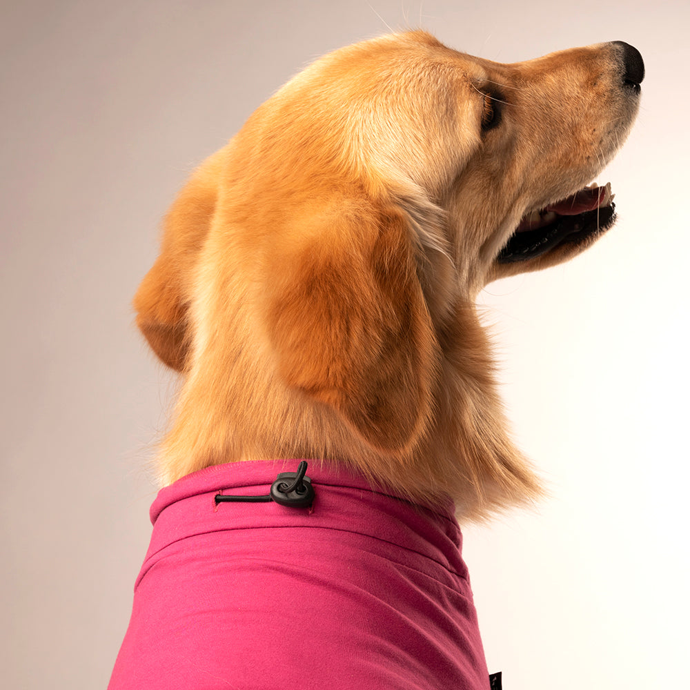 HUFT This Girl Rules The World T-Shirt For Dogs - Pink - Heads Up For Tails