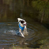 Dash Dog Circle Double Harness - Aqua Blue & Lavender - Heads Up For Tails