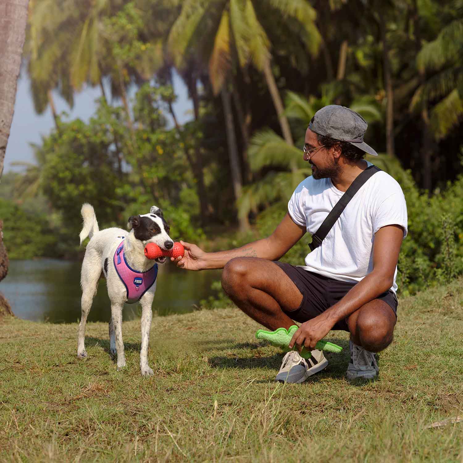 Dash Dog Dumbbell Chew Dog Toy - Red_03
