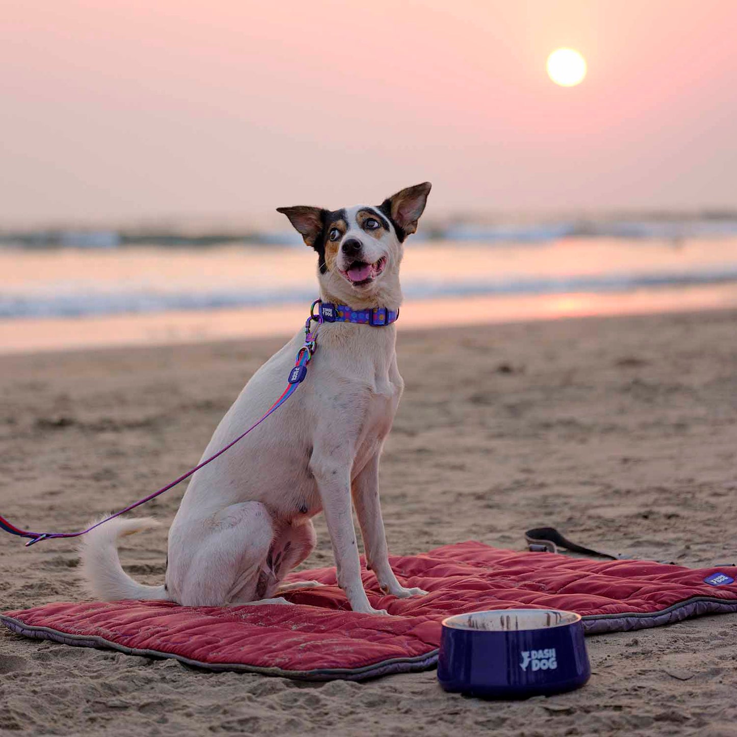 Dash Dog On-The-Go Reversible Outdoor Dog Mat - Maroon & Grey - Heads Up For Tails