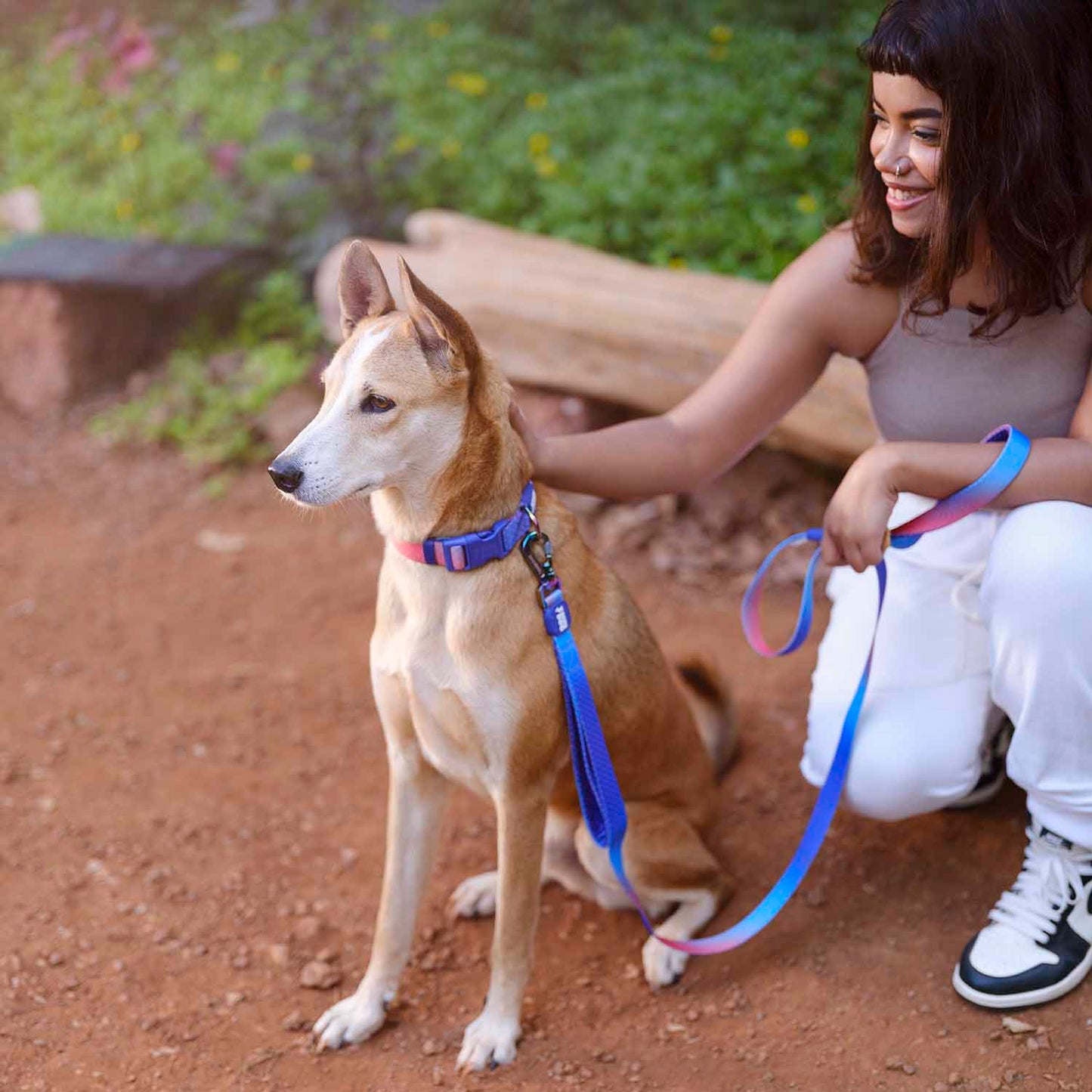 Dash Dog Flow Padded Collar - Violet & Red - Heads Up For Tails