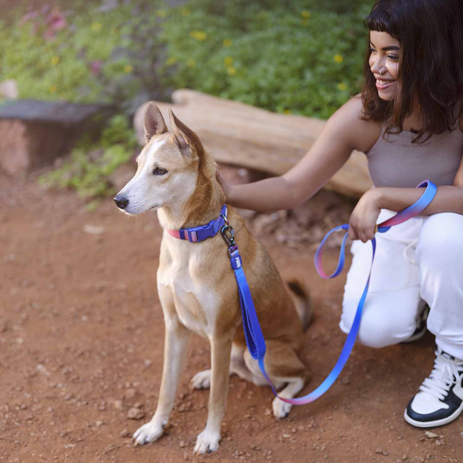 Dash Dog Flow Padded Collar - Violet & Red - Heads Up For Tails