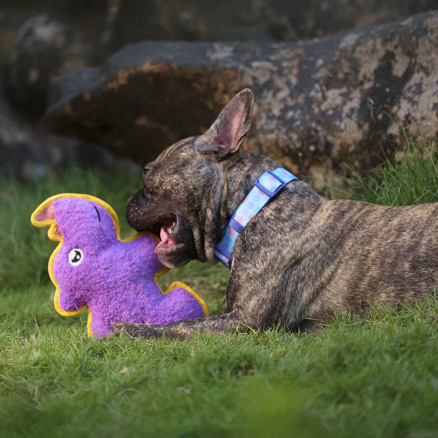 Dash Dog Wild Rhino Comfort Dog Toy - Purple - Heads Up For Tails