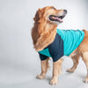 HUFT I Put The Wag In The Swag Dog T-shirt - Heads Up For Tails