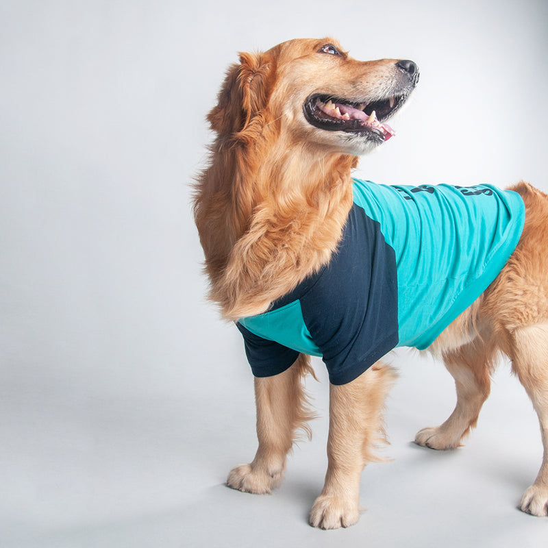 HUFT I Put The Wag In The Swag Dog T-shirt - Heads Up For Tails
